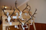 My Gallery (1/18)
